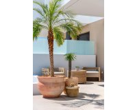 Obra Nueva - Chalet - Dolores - Sector 3