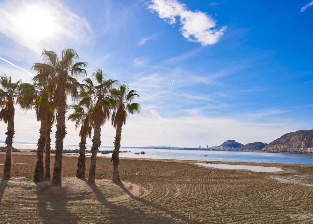 Obra Nueva - Chalet - Els Poblets - Partida Barranquets