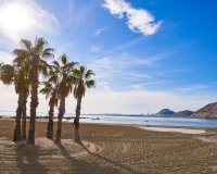 Obra Nueva - Chalet - Els Poblets - Partida Barranquets