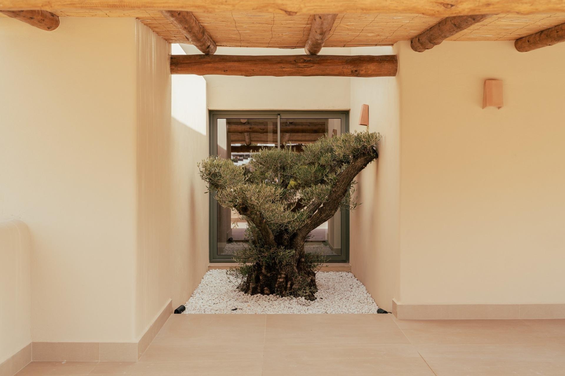 Obra Nueva - Chalet - Jávea Xàbia - Valle del Sol