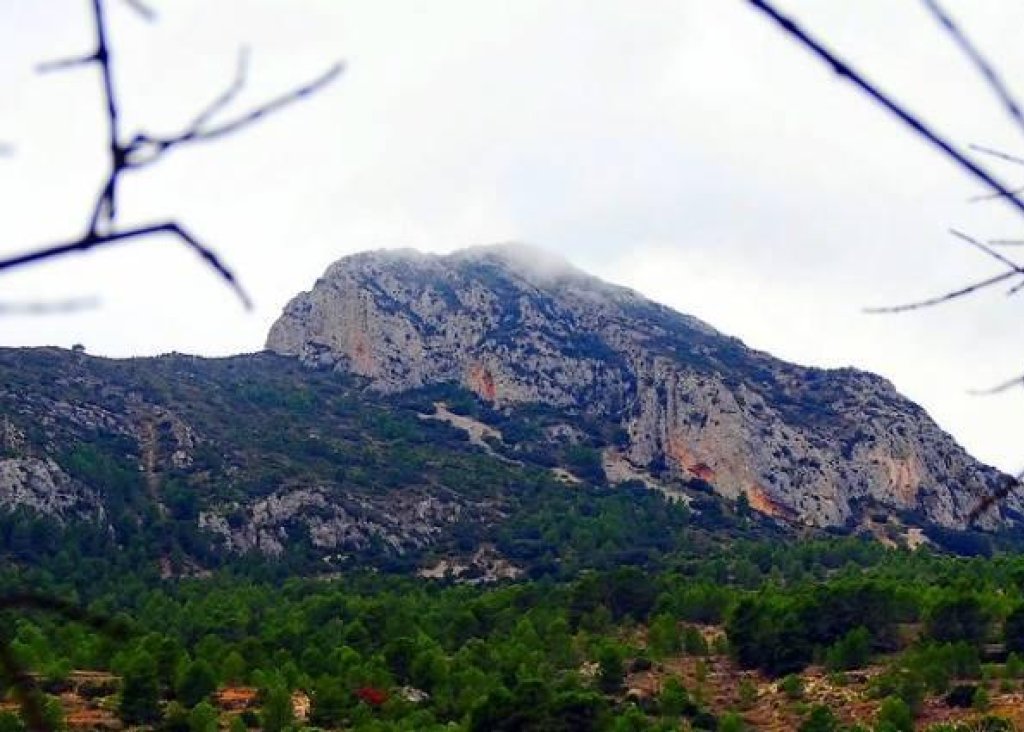 Obra Nueva - Chalet - La Romana - Batistes