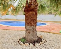 Obra Nueva - Chalet - La Romana - Villas de la Romana