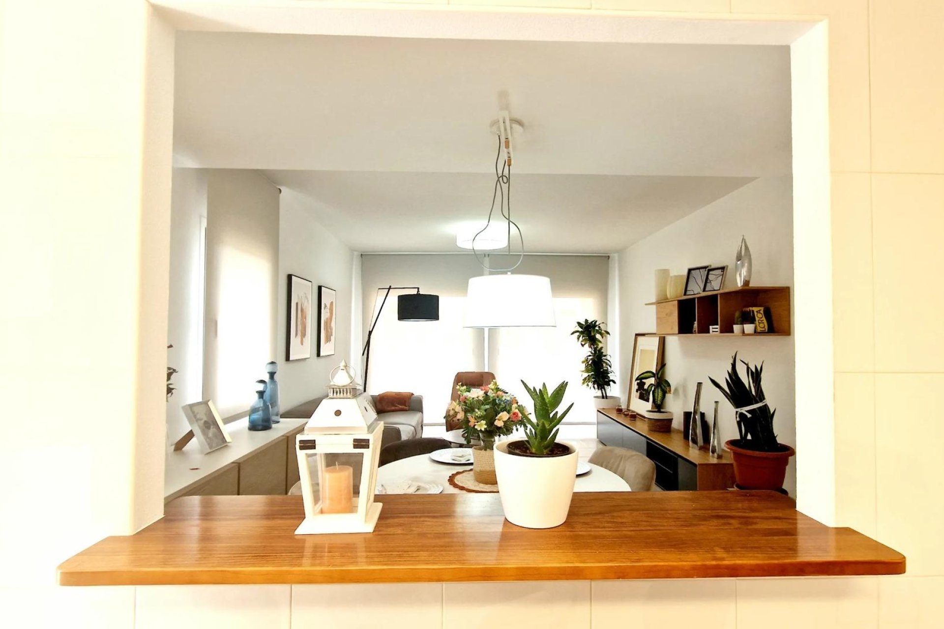 Obra Nueva - Chalet - Lorca - Purias