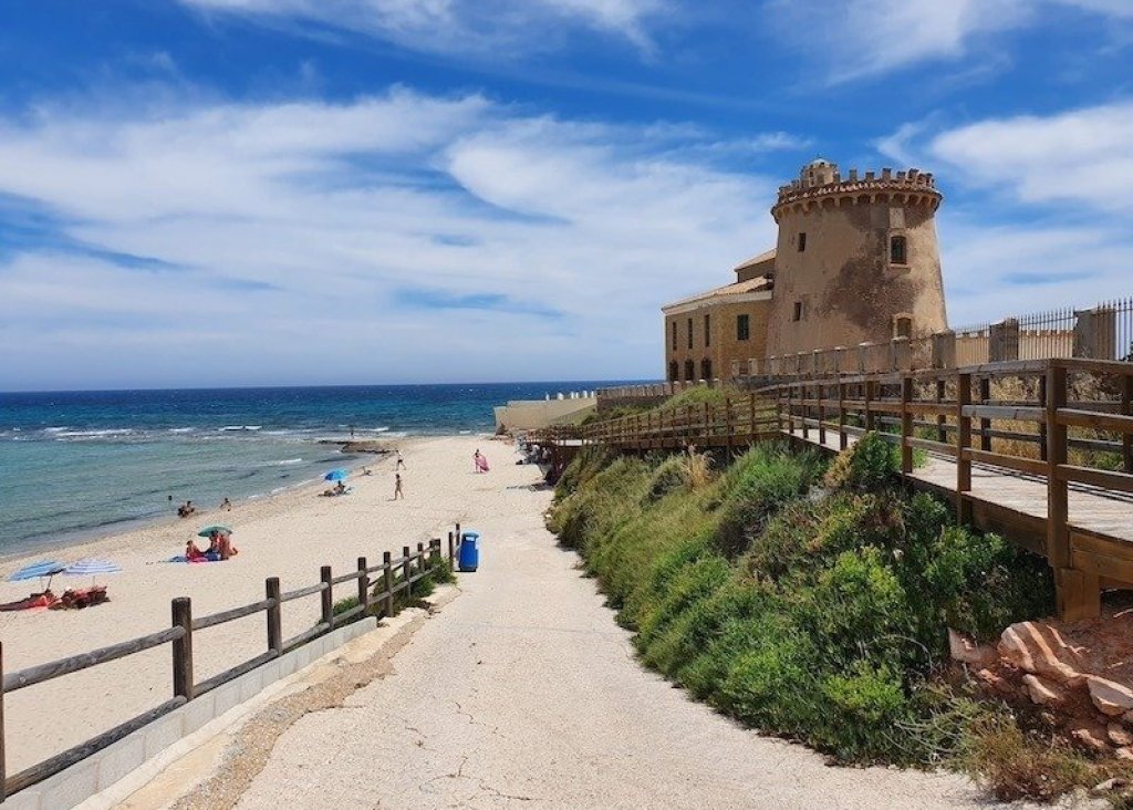 Obra Nueva - Chalet - Pilar de la Horadada - Pueblo