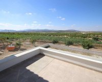 Obra Nueva - Chalet - Pinoso - Camino Del Prado