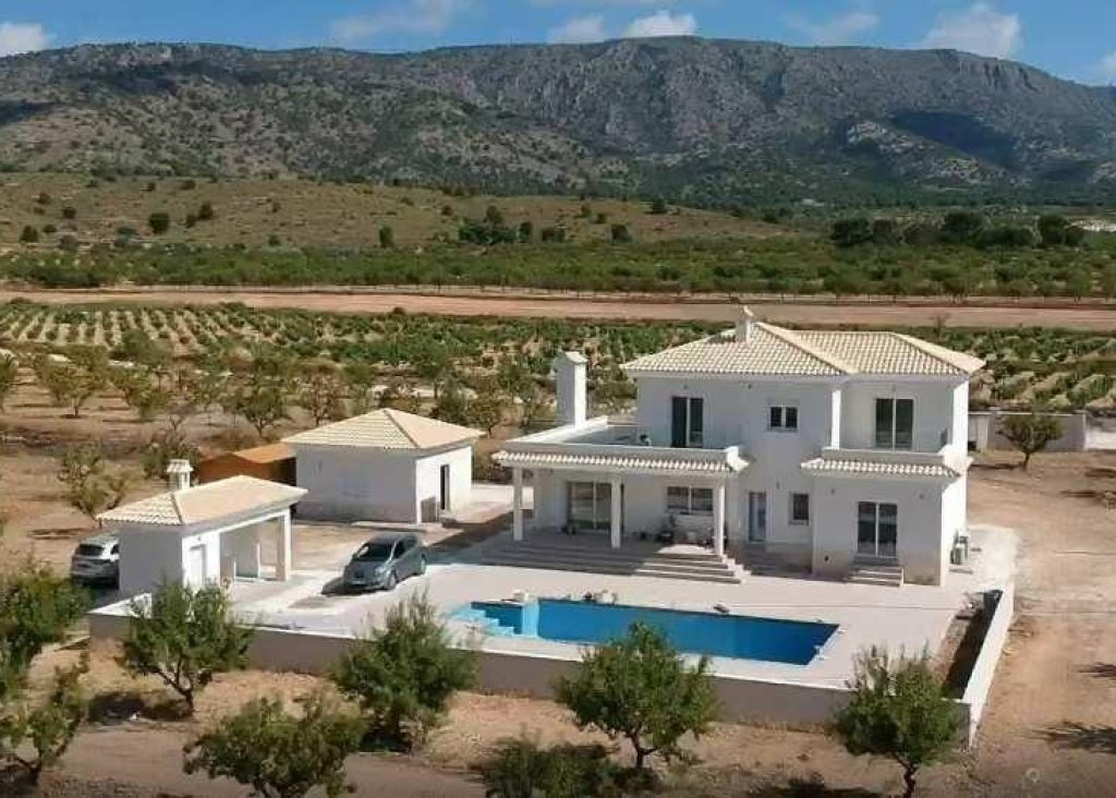 Obra Nueva - Chalet - Pinoso - Camino Del Prado