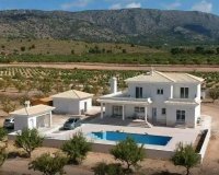 Obra Nueva - Chalet - Pinoso - Camino Del Prado