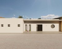 Obra Nueva - Chalet - Pinoso - Campo