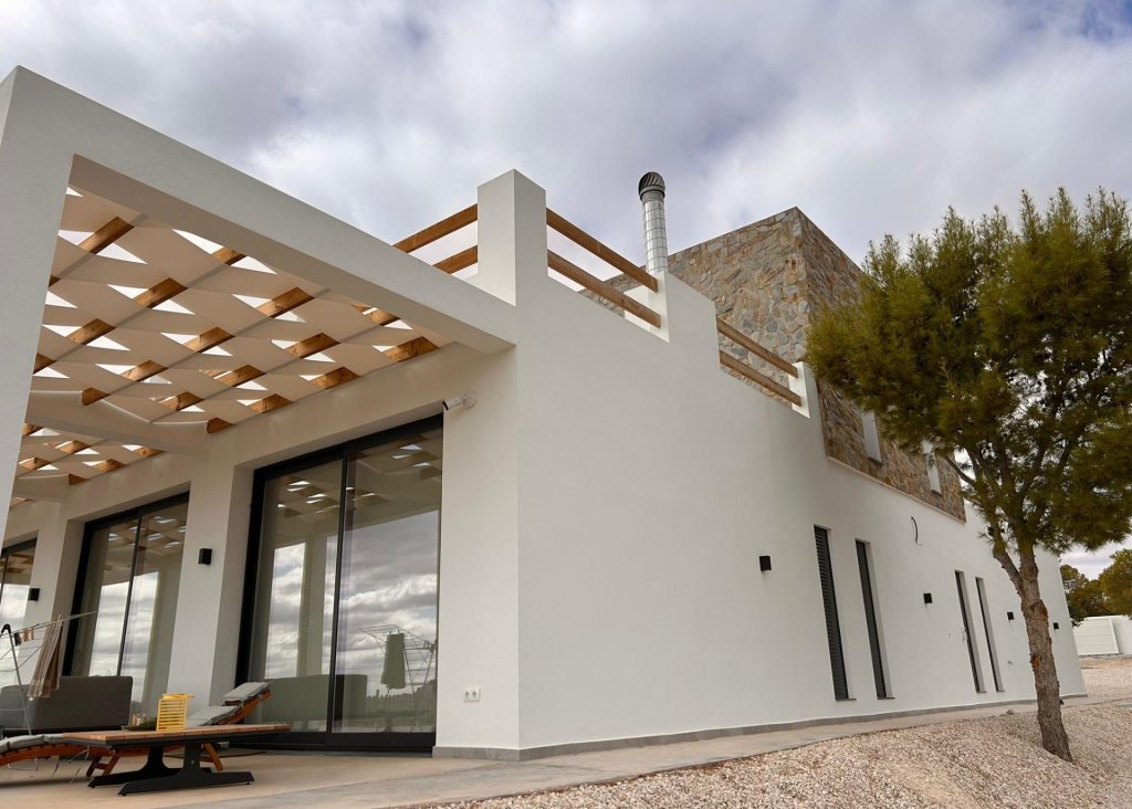 Obra Nueva - Chalet - Pinoso - Casas Pastor