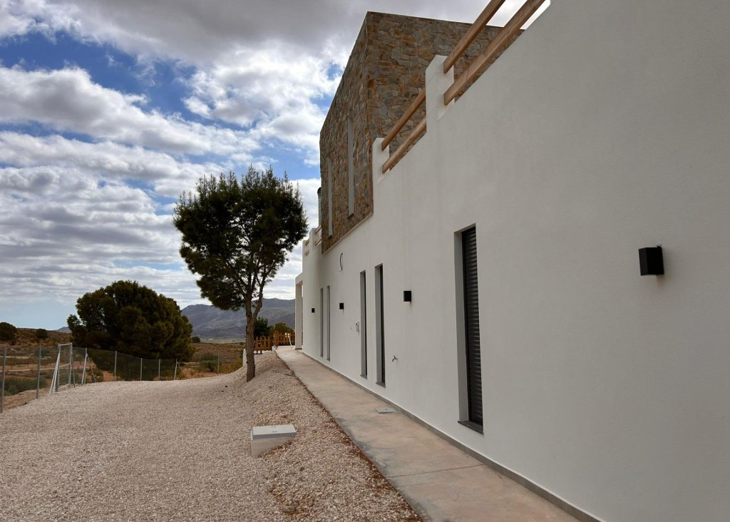 Obra Nueva - Chalet - Pinoso - Casas Pastor