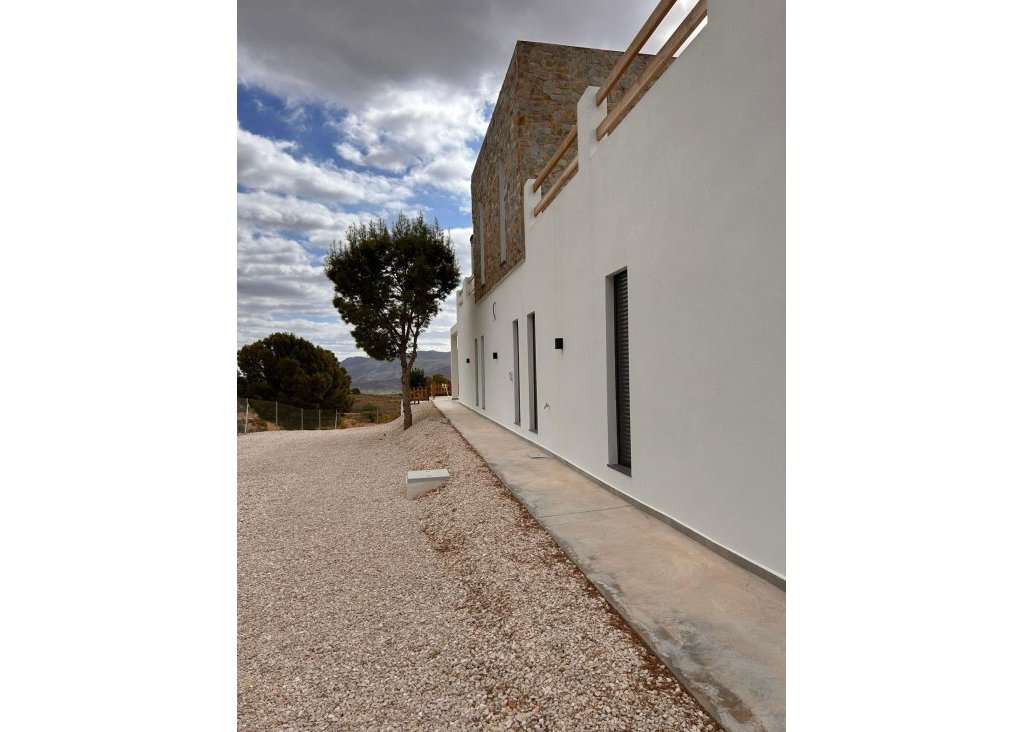 Obra Nueva - Chalet - Pinoso - Casas Pastor
