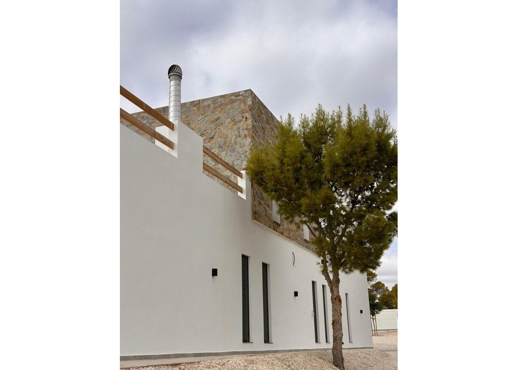 Obra Nueva - Chalet - Pinoso - Casas Pastor
