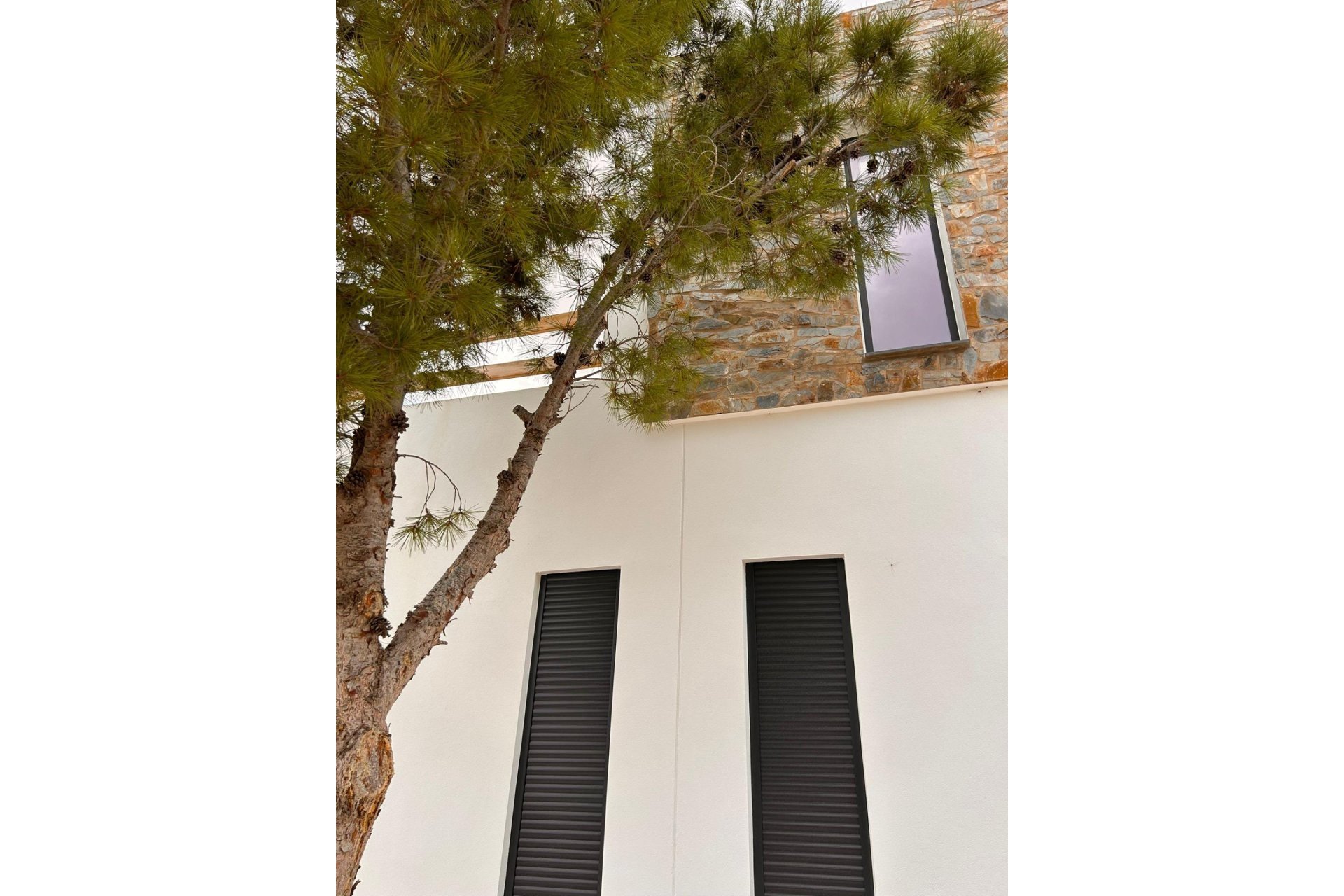 Obra Nueva - Chalet - Pinoso - Casas Pastor