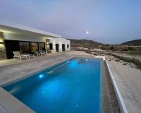 Obra Nueva - Chalet - Pinoso - Casas Pastor