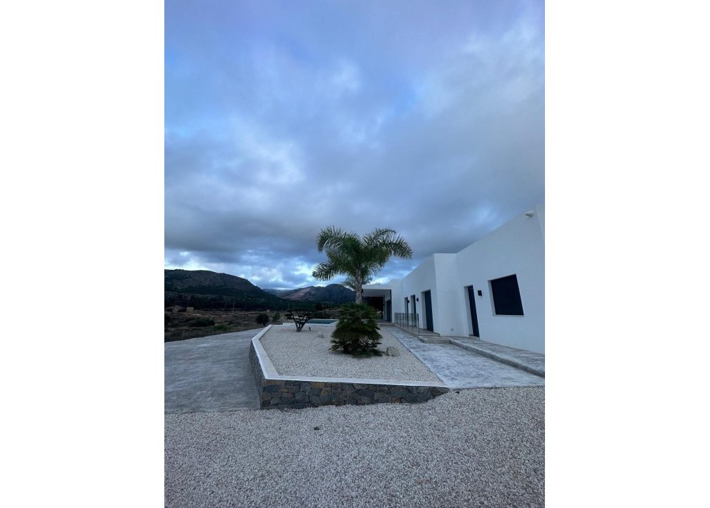 Obra Nueva - Chalet - Pinoso - Casas Pastor