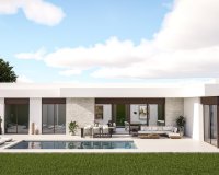 Obra Nueva - Chalet - Pinoso - Lel