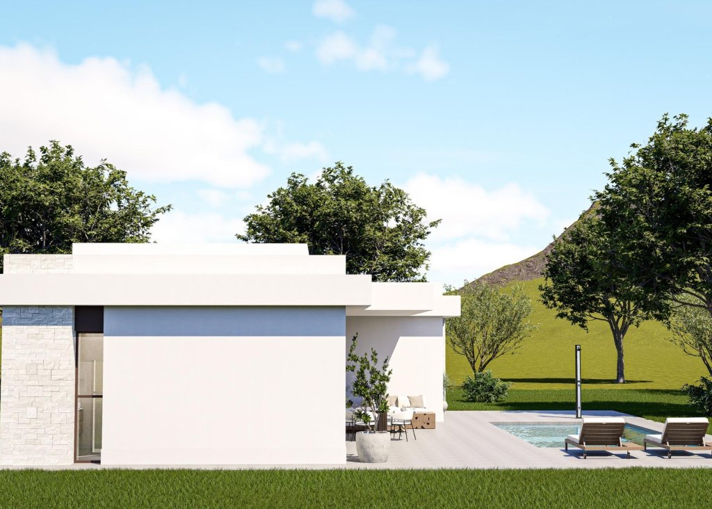 Obra Nueva - Chalet - Pinoso - Lel