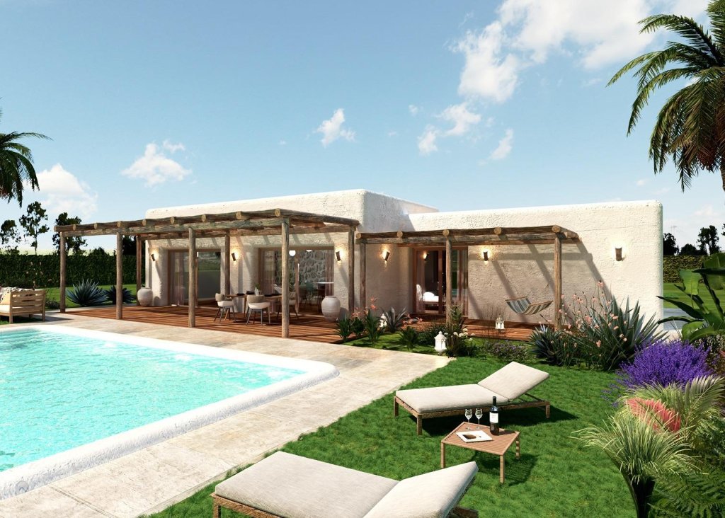 Obra Nueva - Chalet - Pinoso - Rodriguillo