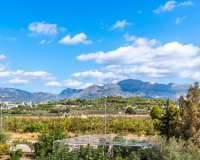 Obra Nueva - Chalet - Polop - Novapolop