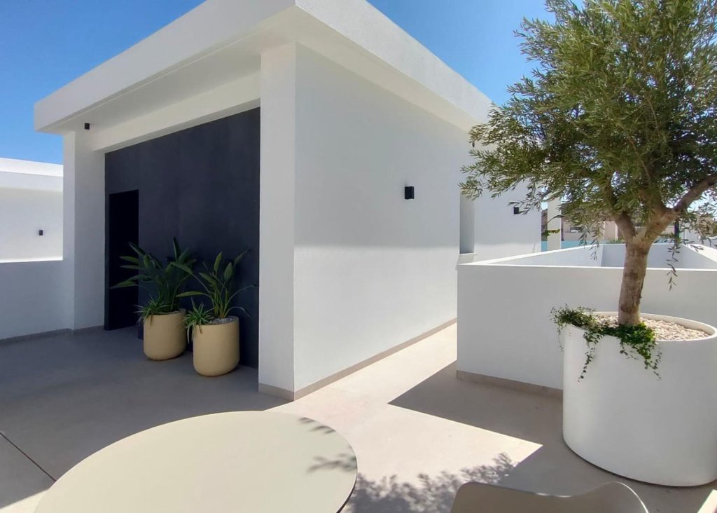 Obra Nueva - Chalet - Rojales - Ciudad Quesada