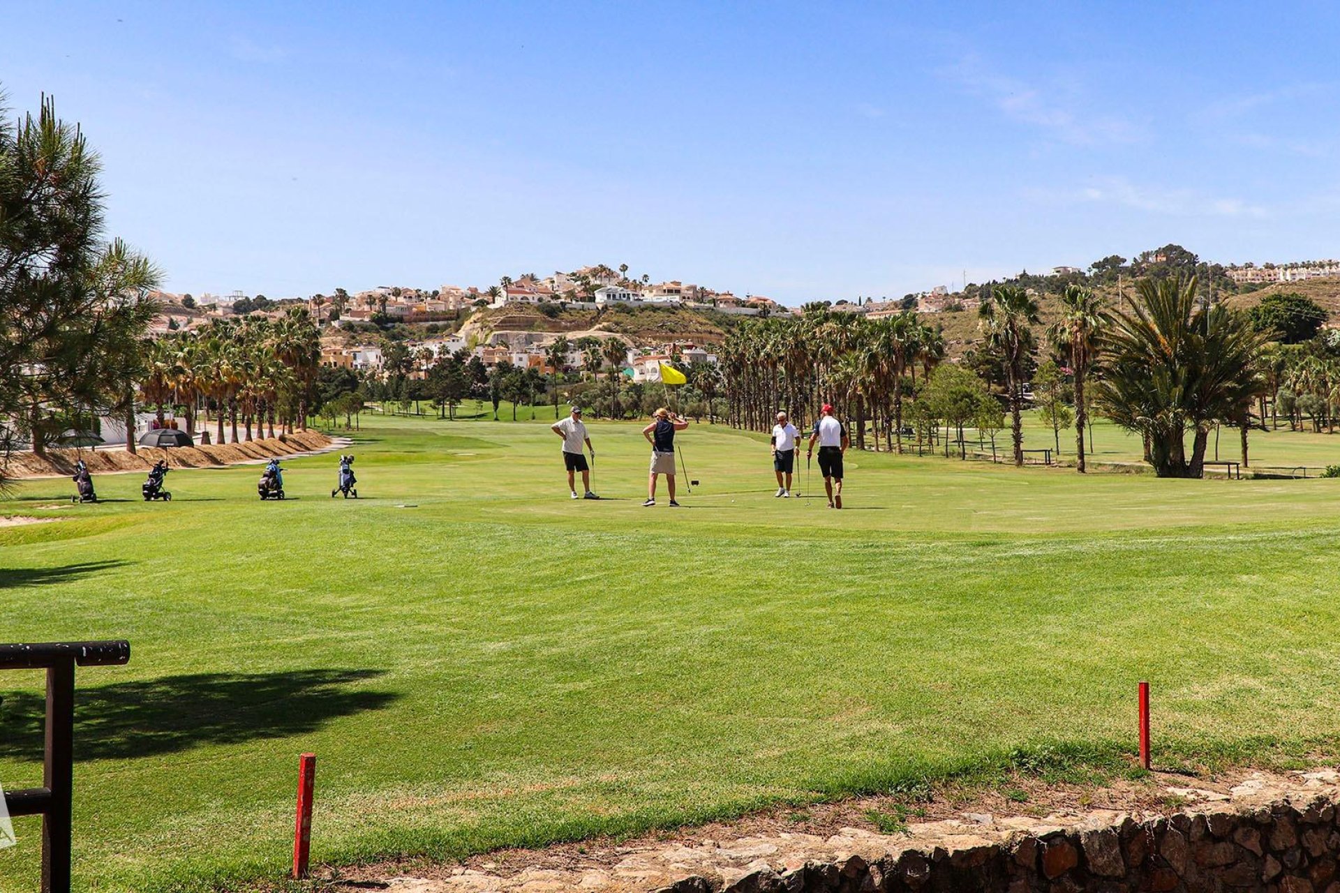 Obra Nueva - Chalet - Rojales - Ciudad Quesada