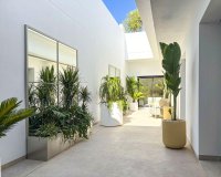 Obra Nueva - Chalet - Rojales - Ciudad Quesada