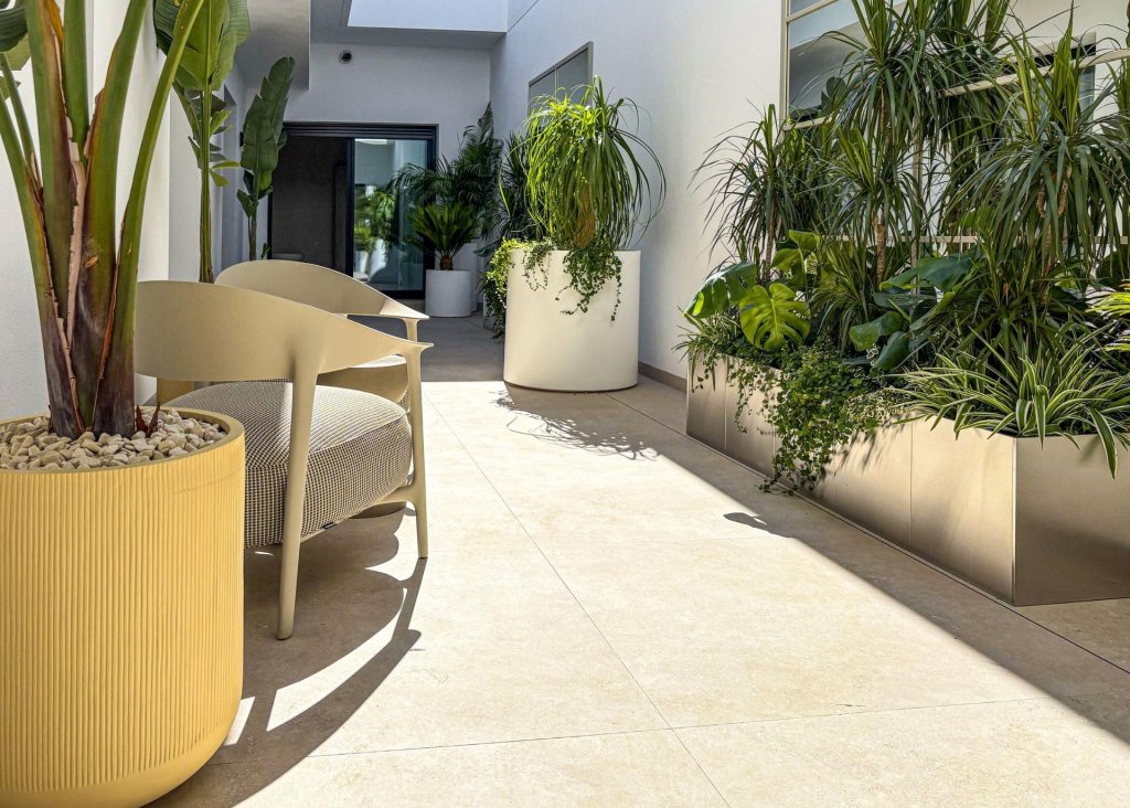 Obra Nueva - Chalet - Rojales - Ciudad Quesada