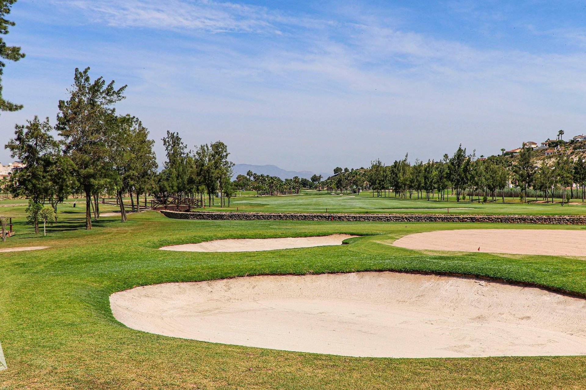 Obra Nueva - Chalet - Rojales - Ciudad Quesada