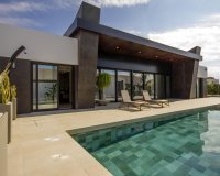 Obra Nueva - Chalet - Rojales - Ciudad Quesada