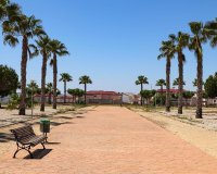 Obra Nueva - Chalet - San Fulgencio - La Escuera