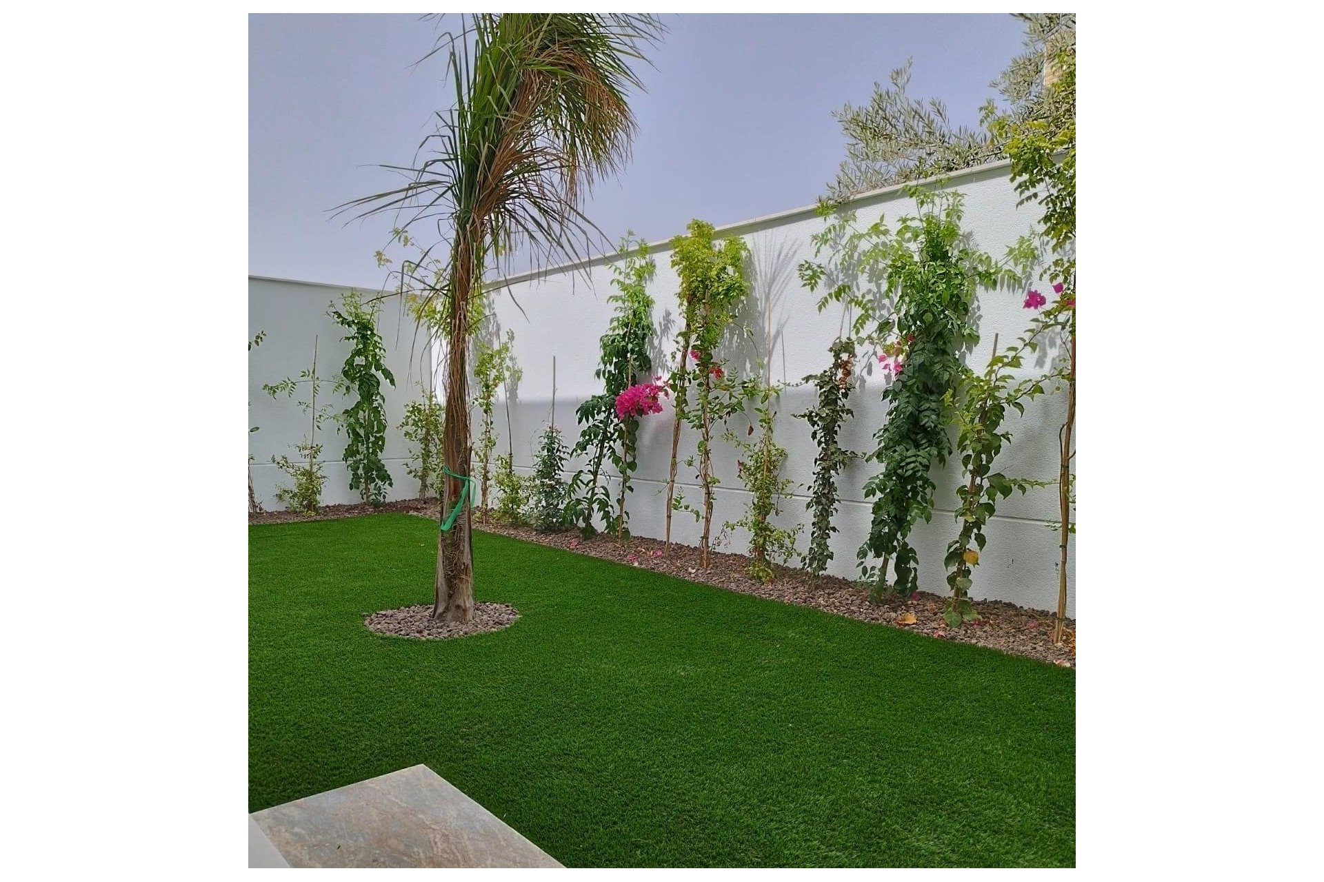 Obra Nueva - Chalet - San Javier - Parque del doce