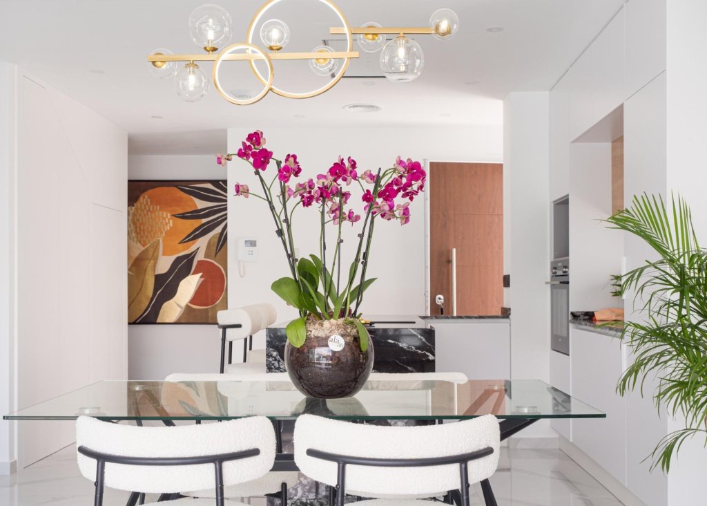 Obra Nueva - Chalet - San Pedro del Pinatar - San Pedro de Pinatar