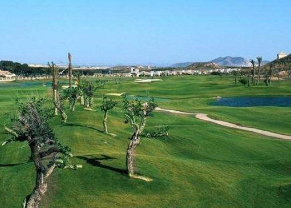 Obra Nueva - Chalet - Sucina - Peraleja Golf