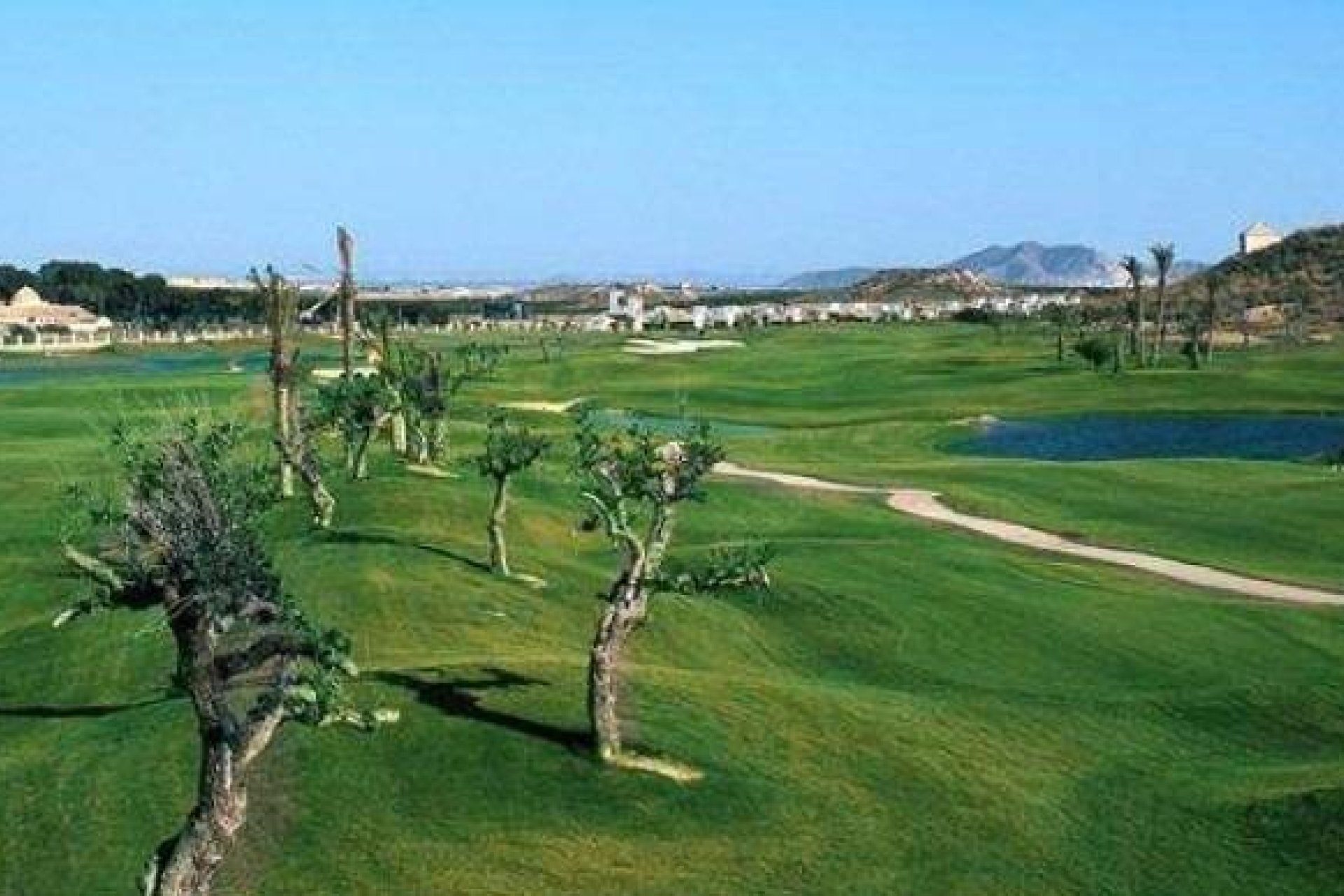 Obra Nueva - Chalet - Sucina - Peraleja Golf