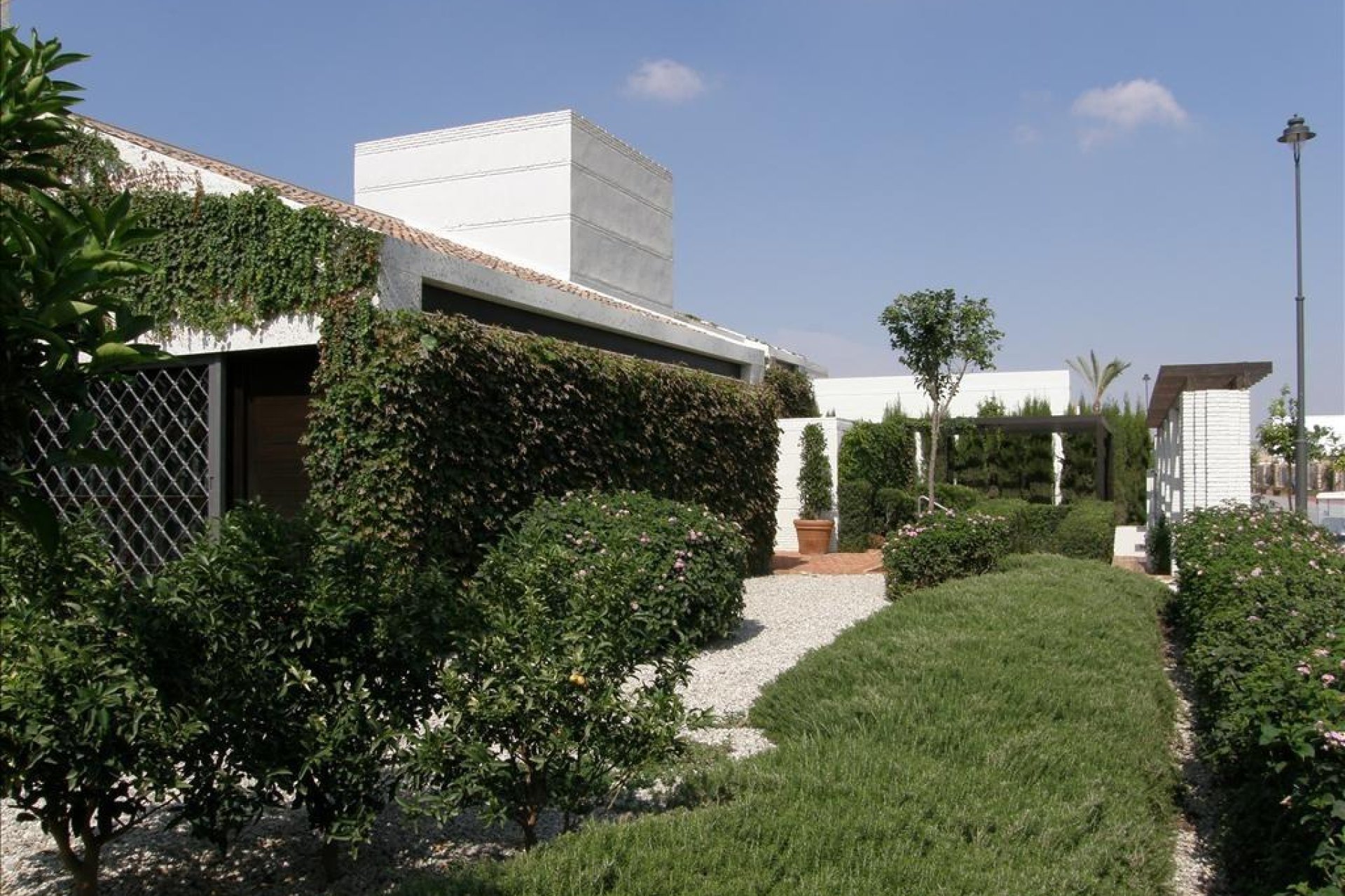 Obra Nueva - Chalet - Sucina - Peraleja Golf