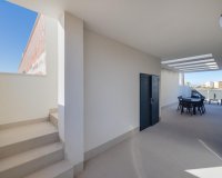 Obra Nueva - Chalet - Torrevieja - Sector 25