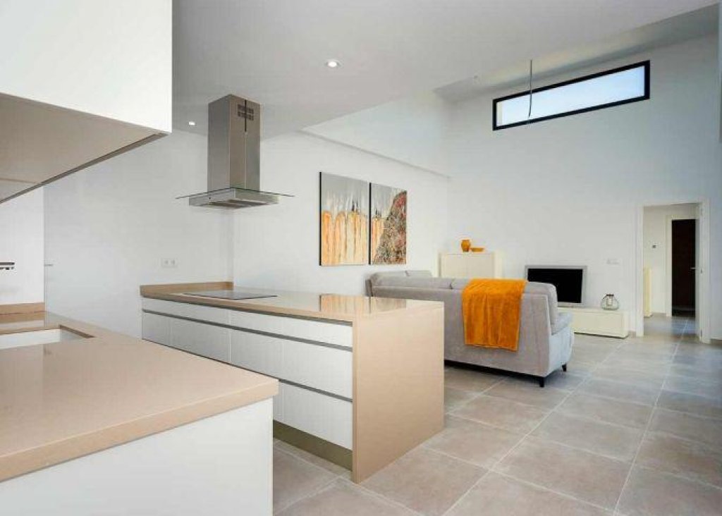 Obra Nueva - Quad - Daya Nueva - Centro