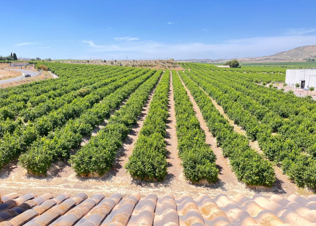 Sale - Apartment - Flat - Algorfa - Pueblo