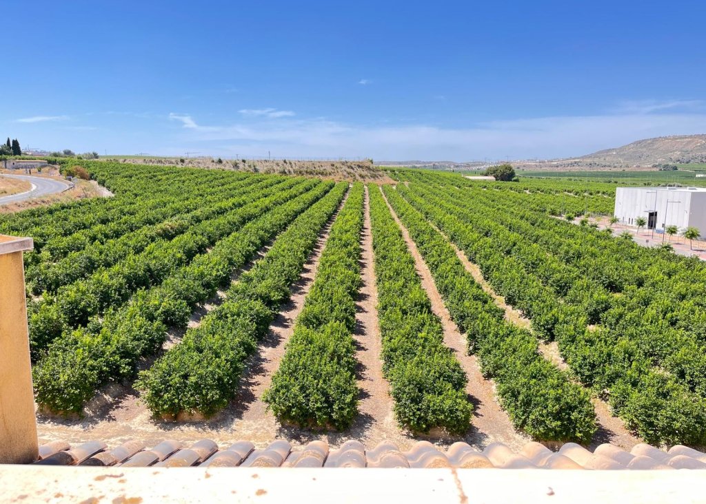 Sale - Apartment - Flat - Algorfa - Pueblo