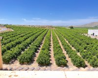 Sale - Apartment - Flat - Algorfa - Pueblo