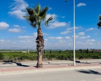 Sale - Apartment - Flat - Algorfa