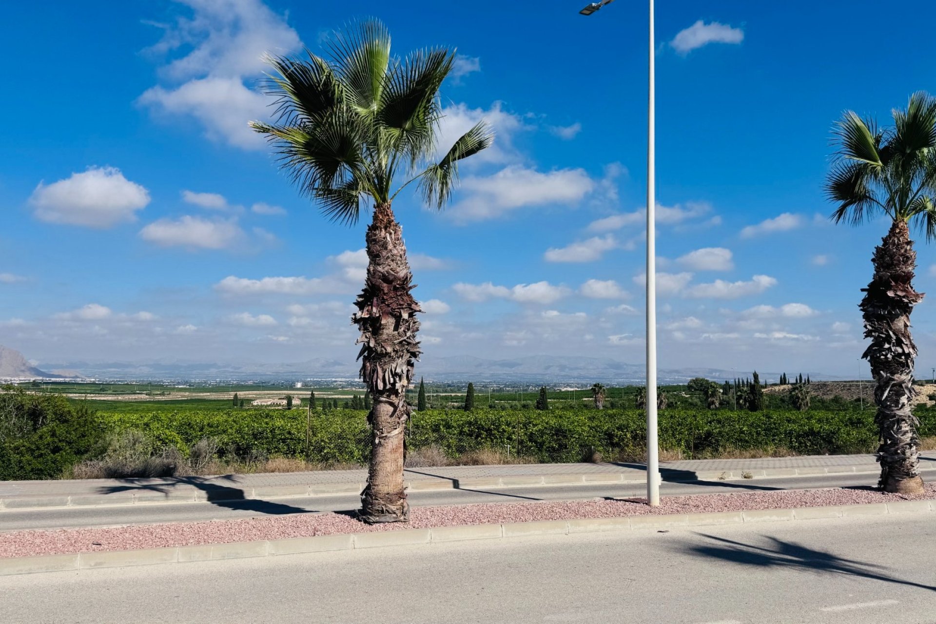 Sale - Apartment - Flat - Algorfa