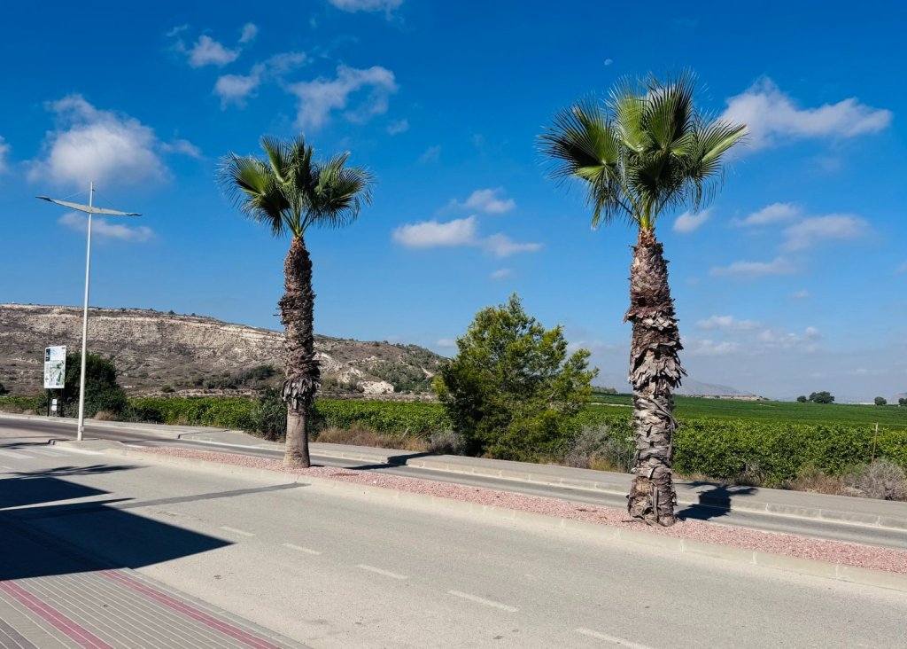 Sale - Apartment - Flat - Algorfa