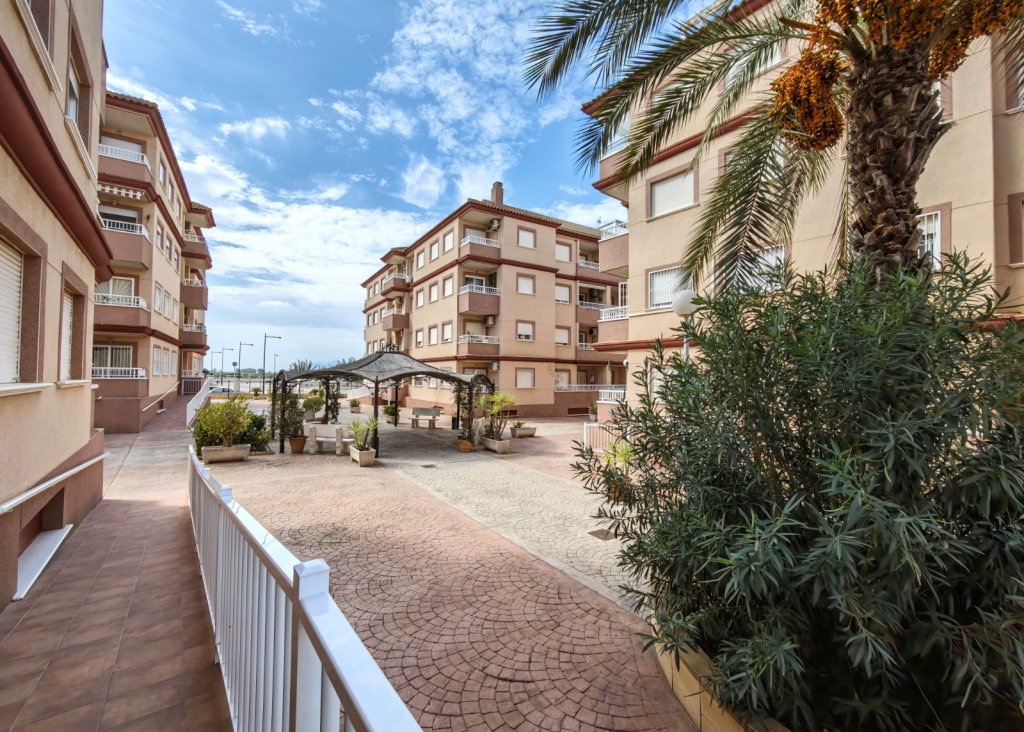 Sale - Apartment - Flat - Algorfa