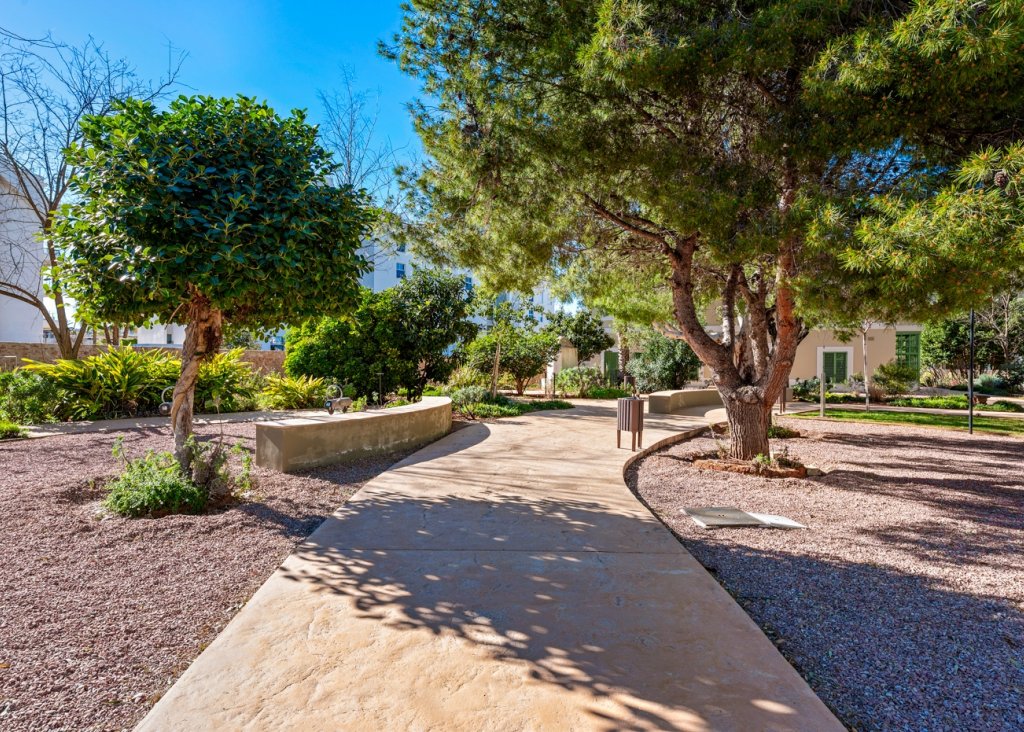 Sale - Apartment - Flat - Denia - Puerto