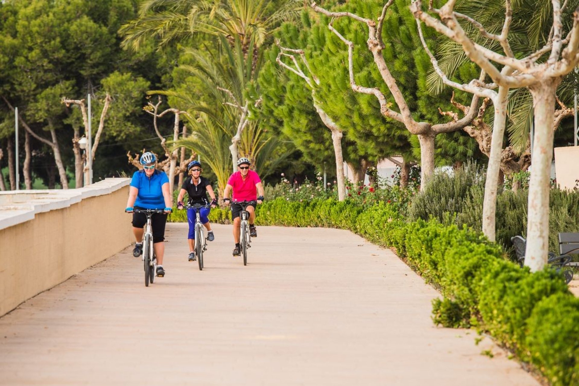 Sale - Apartment - Flat - Formentera del Segura