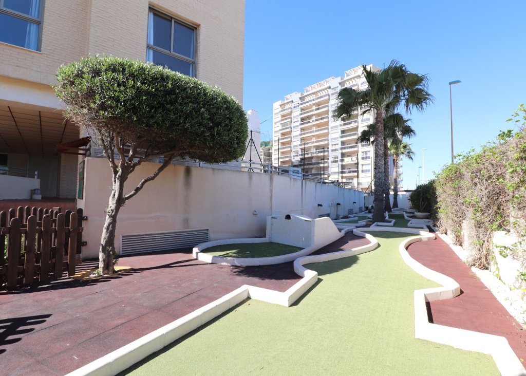 Sale - Apartment - Flat - Guardamar del Segura - Guardamar del Segura - Town