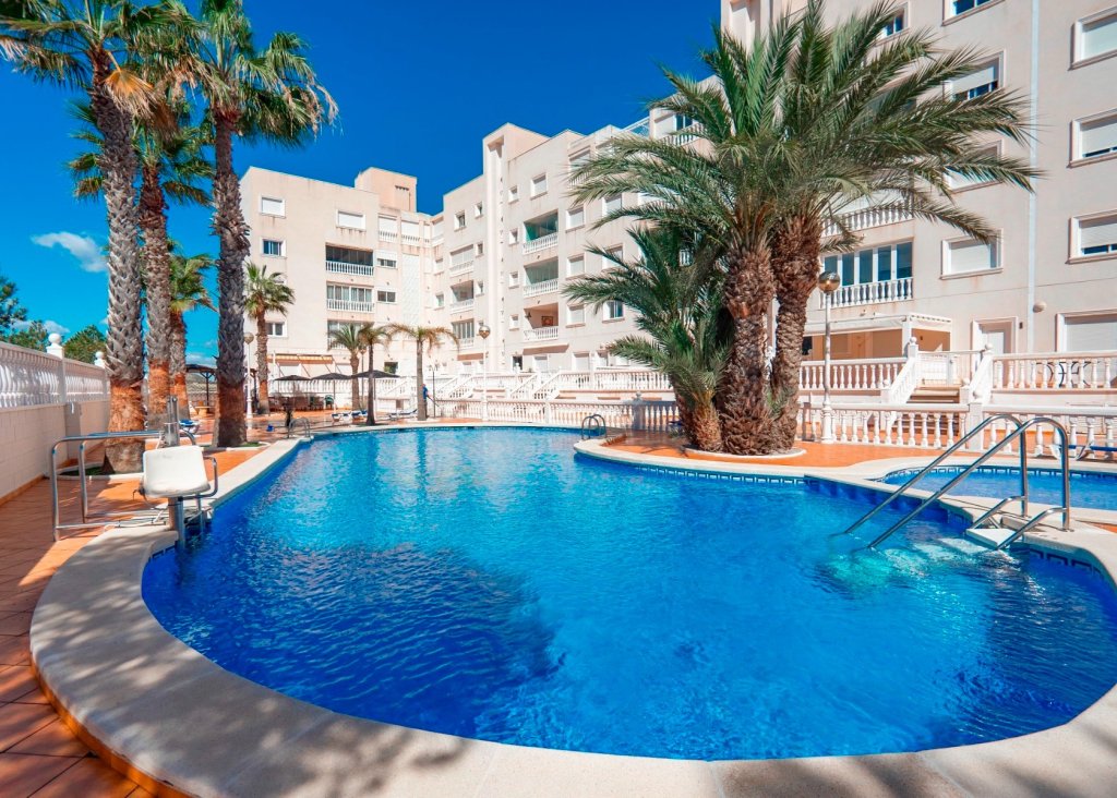 Sale - Apartment - Flat - Guardamar del Segura