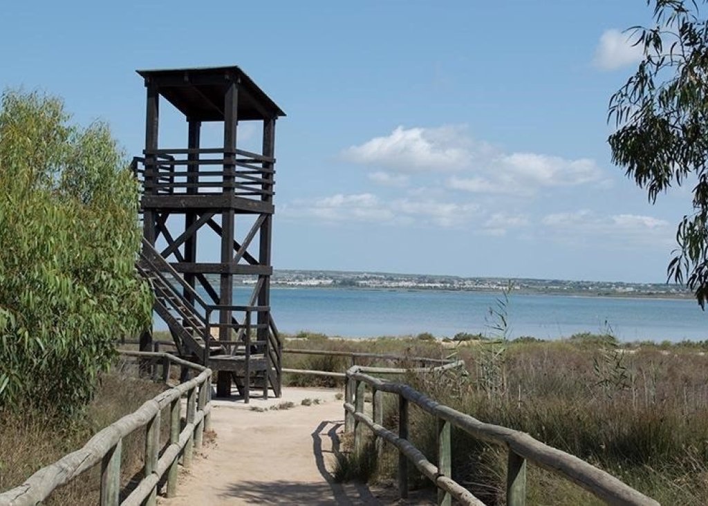 Sale - Apartment - Flat - La Mata - La Mata - Town