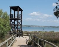 Sale - Apartment - Flat - La Mata - La Mata - Town